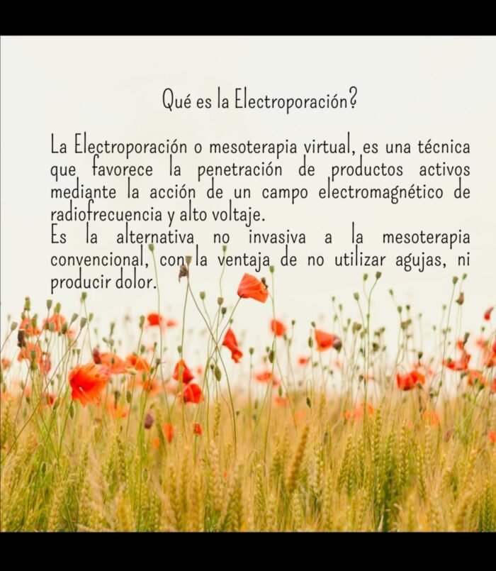 Terapias de belleza - Imagen 8