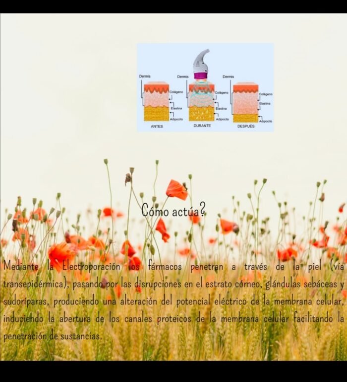 Terapias de belleza - Imagen 11