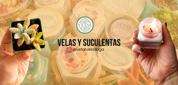 vetalvelasbga