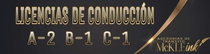 Licencias De Conducción ✍️ - Imagen 2