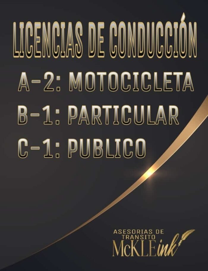 Licencias De Conducción ✍️ - Imagen 3