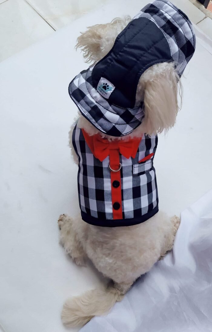 Chaleco para Mascota - Imagen 2