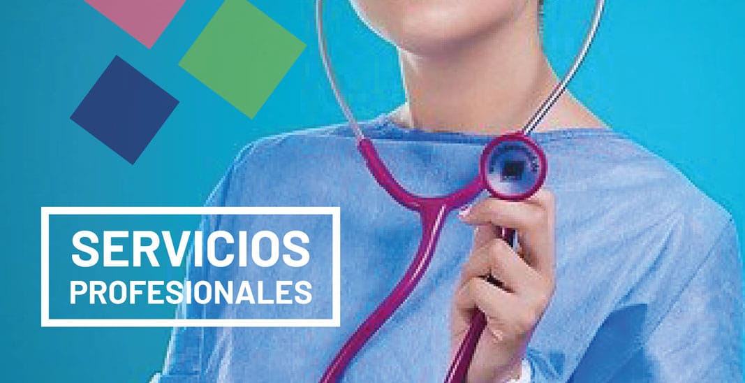 Servicios profesionales