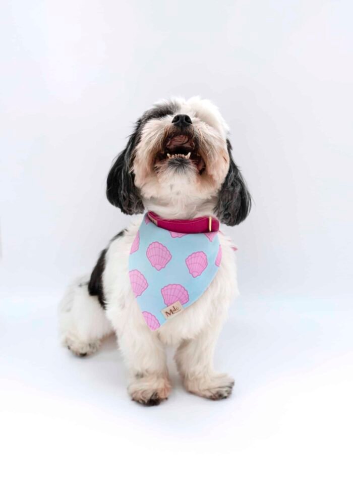 Pañoleta para Mascota