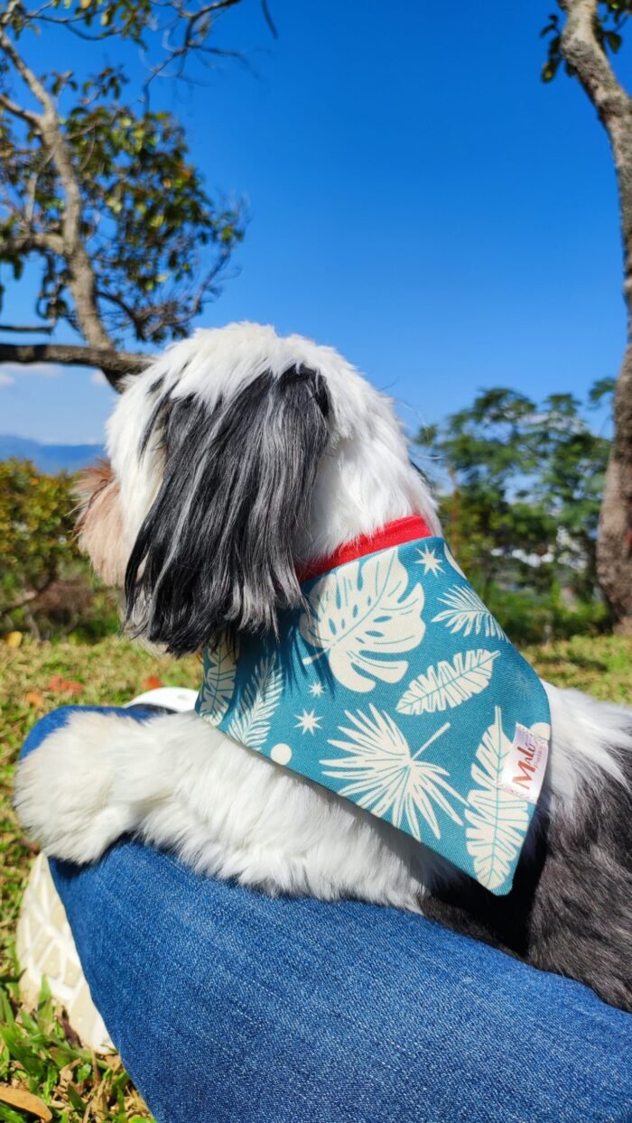Pañoleta para Mascota - Imagen 5