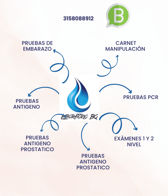 pruebas e