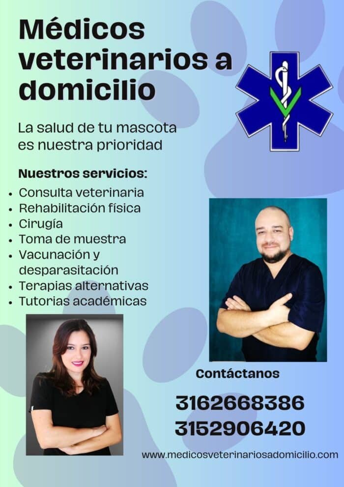 Consulta Veterinaria a Domicilio