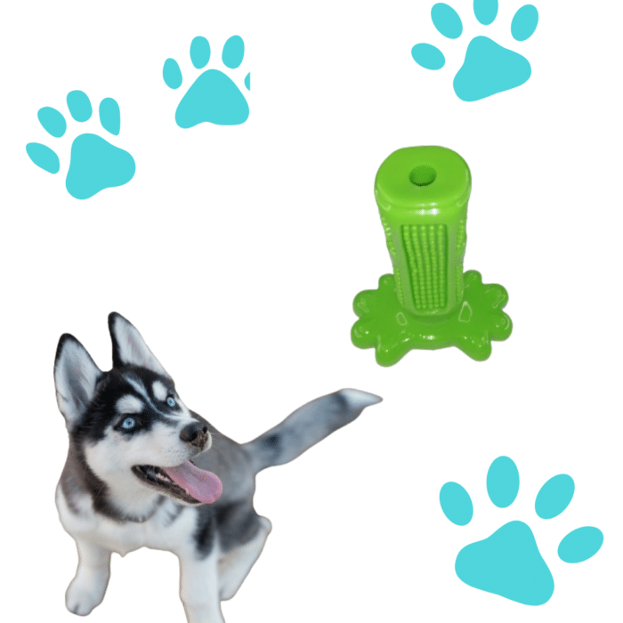 Juguete Dental Verde Para Perros