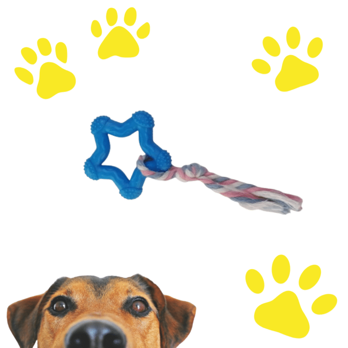 Juguete Masticable Para Perros De Raza Pequeña Con Cuerda Estrellita