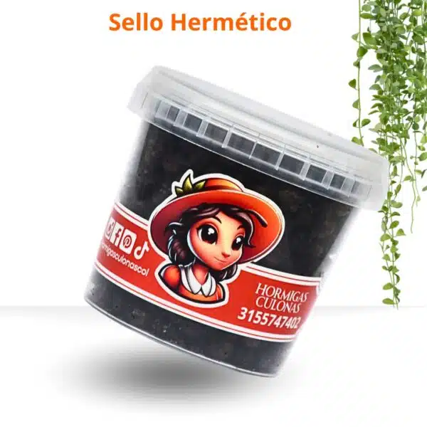 Hormigas Culona Mix Tropical 150 Gr🐜 - Imagen 2
