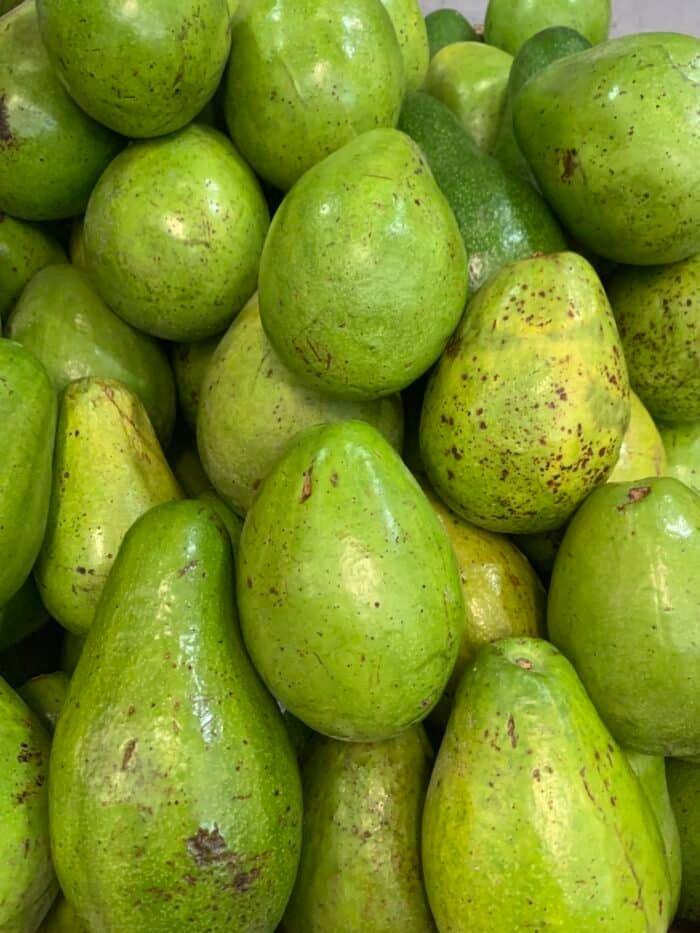 Aguacate papelillo