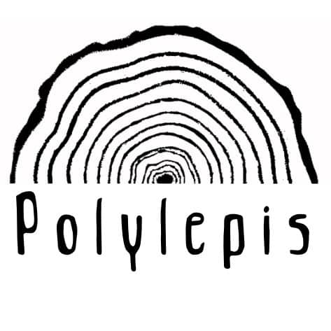 Polylepis