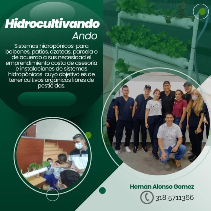 Capacitación y montaje de sistemas hidropónicos