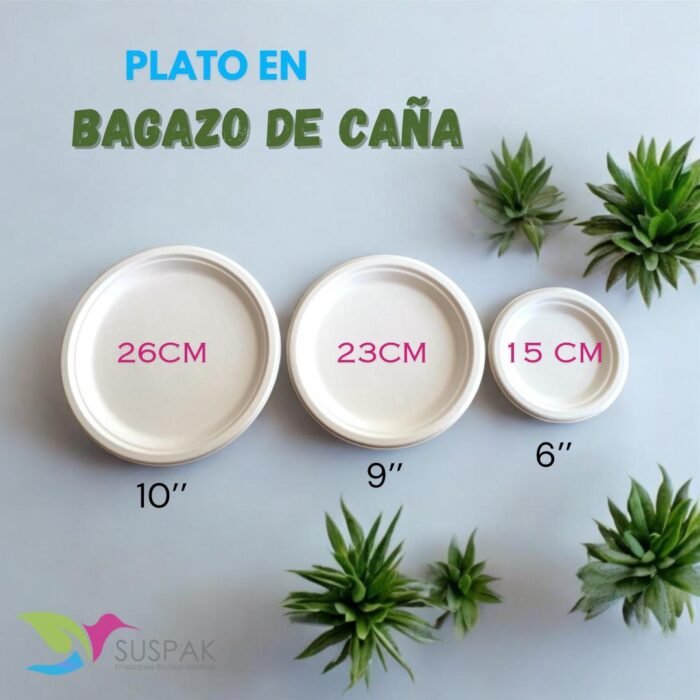 🌿 Desechables Biodegradables 🌿