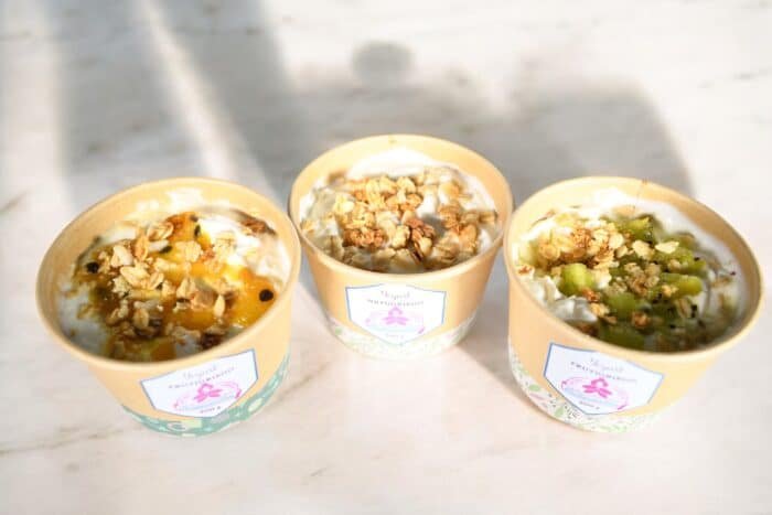 🥣YOGURT GRIEGO ARTESANAL - Imagen 15