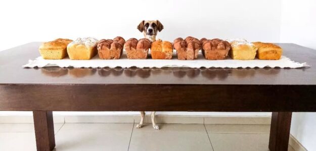 La Panadería de Paloma