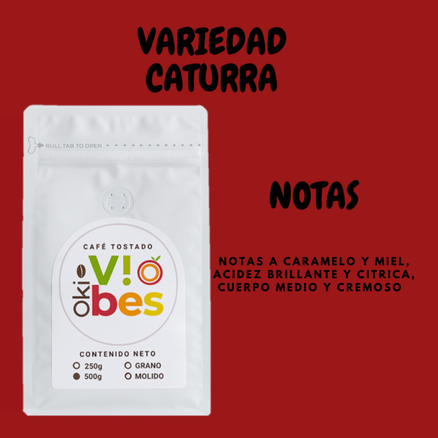 CAFÉ COLOMBIA X 250g - Imagen 3