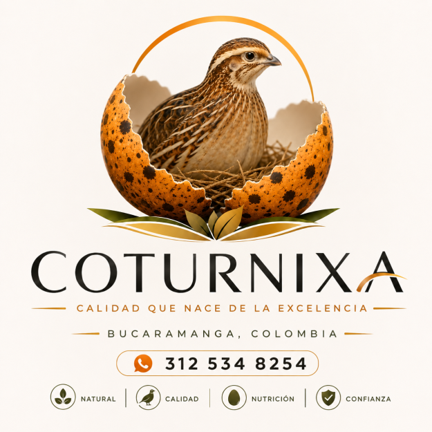 Coturnixa